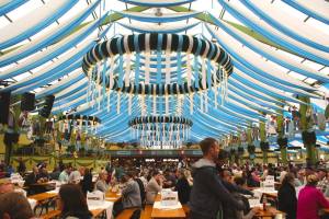 12087771_10153614268819350_6765203834290828657_o