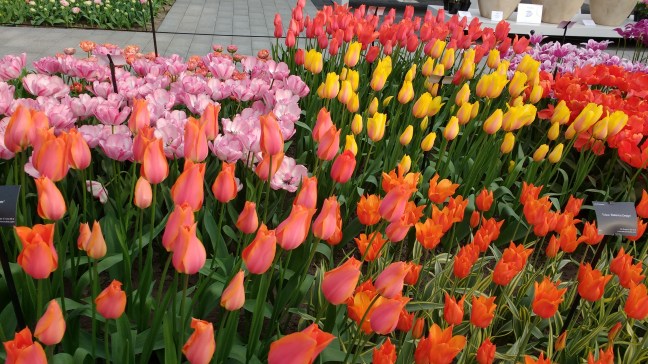 IMG_20160409_181235678