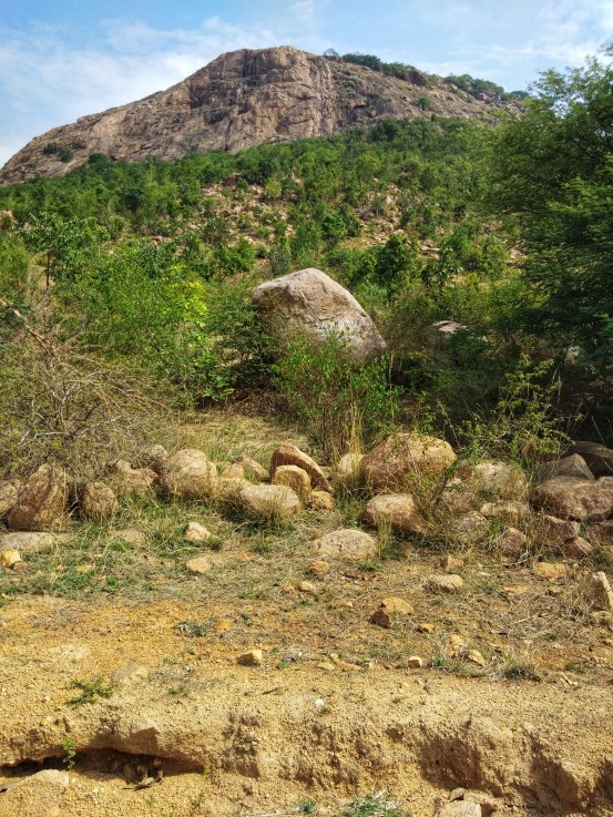 IMG_20180513_092852-01