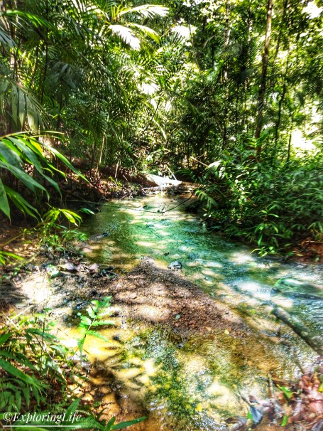 IMG_20180615_112610-01