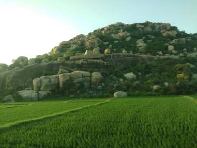 41464920_340558876685487_8451690327865032704_n