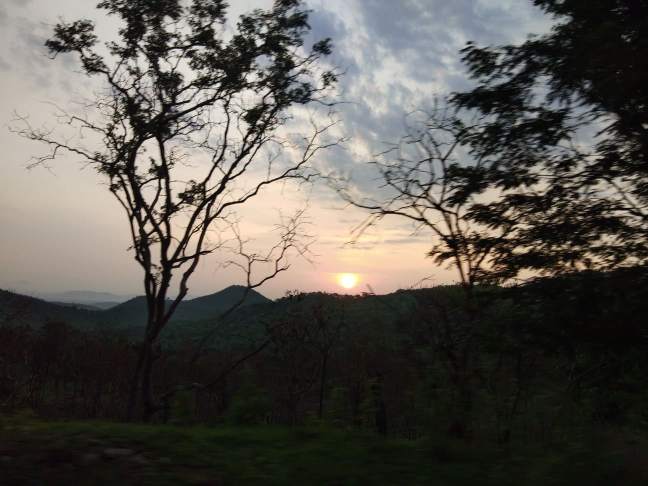 61746353_2401356033475079_3805835701409284096_n