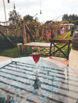 70641333_415271159124353_7510563886941077504_n