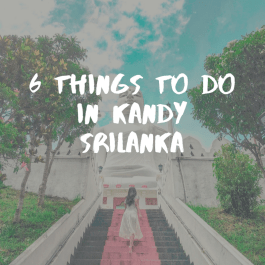 First time Runners guide (1).png