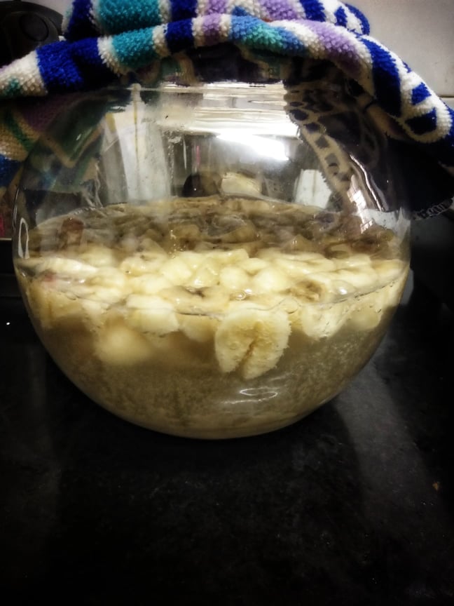 107929279_661559571236060_1924155948055024010_n